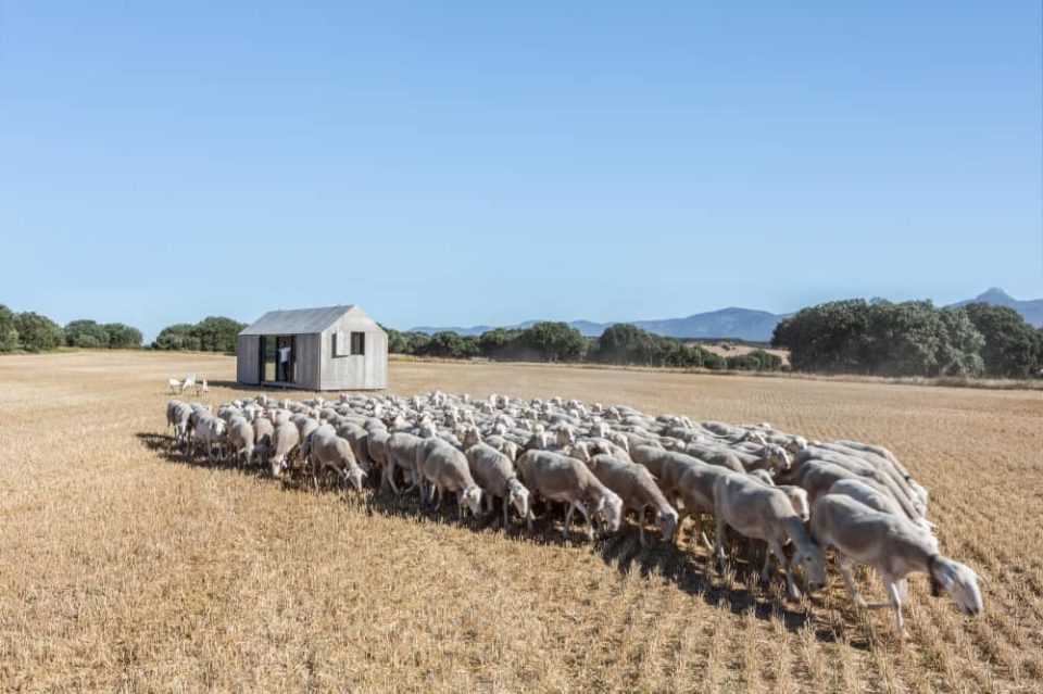 Image of Modern prefab cabin with sheep