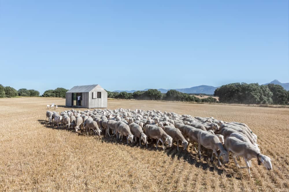 Image of Modern prefab cabin with sheep