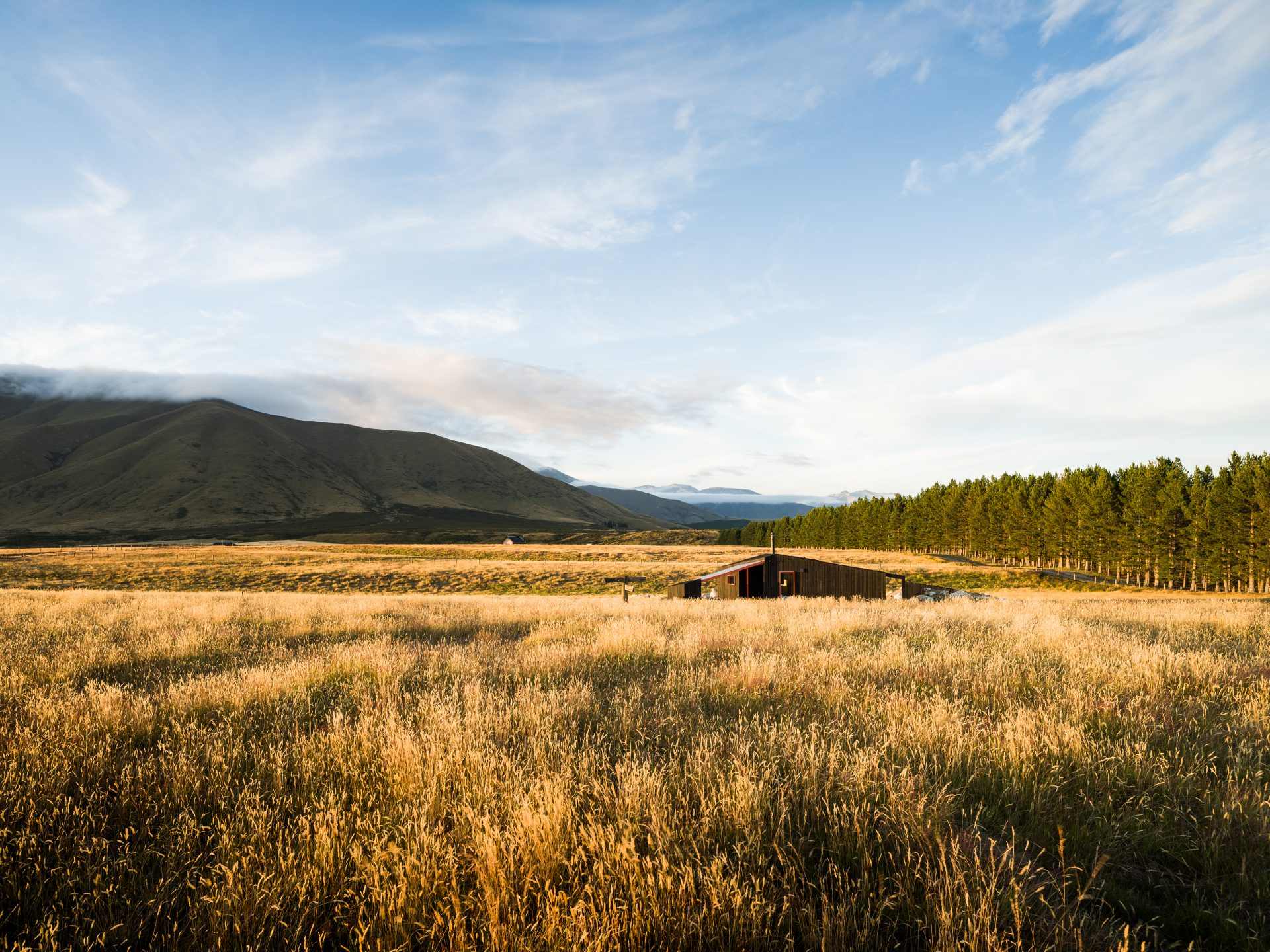 Sustainable cabin immersed in nature