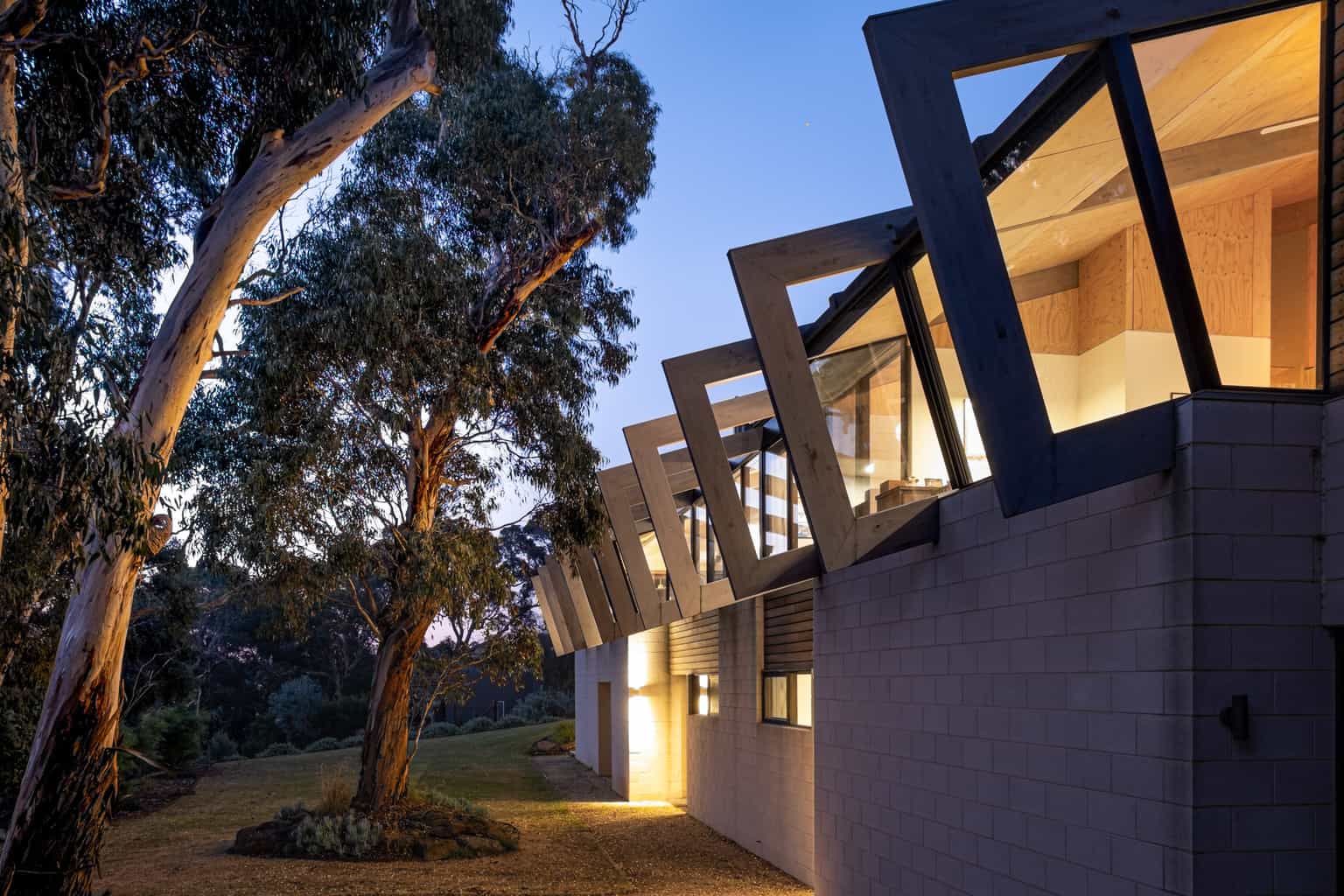 Sustainable house designed to preserve endangered trees