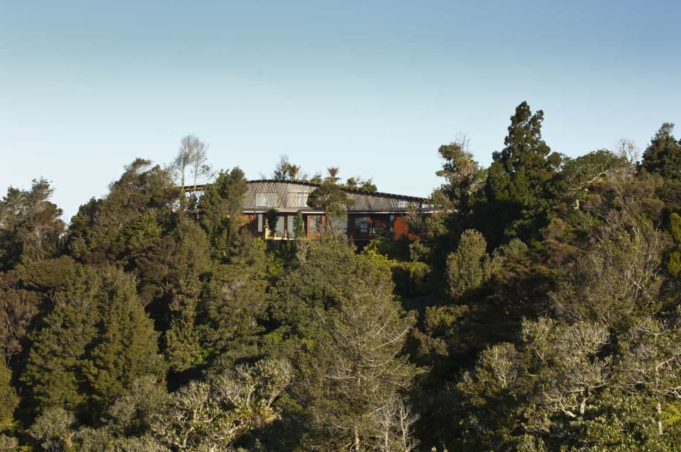 Tree canopy architecture by Tennent + Brown